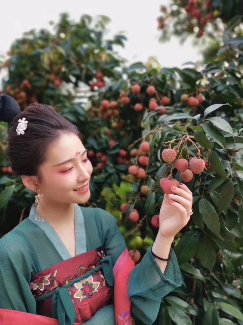 海南妃子笑荔枝万亩基地果园直销欢迎咨询采购