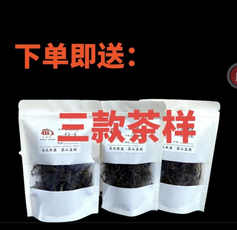 茶样云南生茶熟茶古树红茶普洱茶原产地基地直销品鉴装包邮