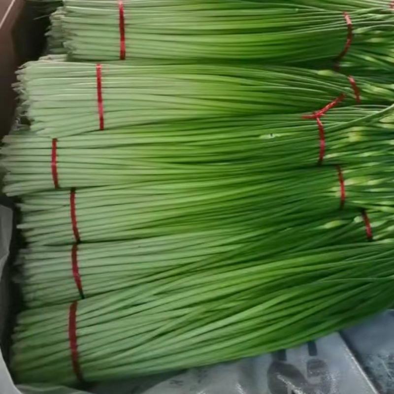 蒜薹