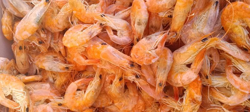 烤虾，即食食品，干度好活虾加工，货源充足