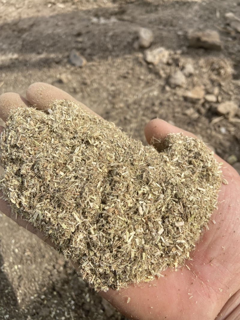 花生秧草粉先除尘在粉碎适合牛羊开口料鸵鸟兔子猪做颗粒