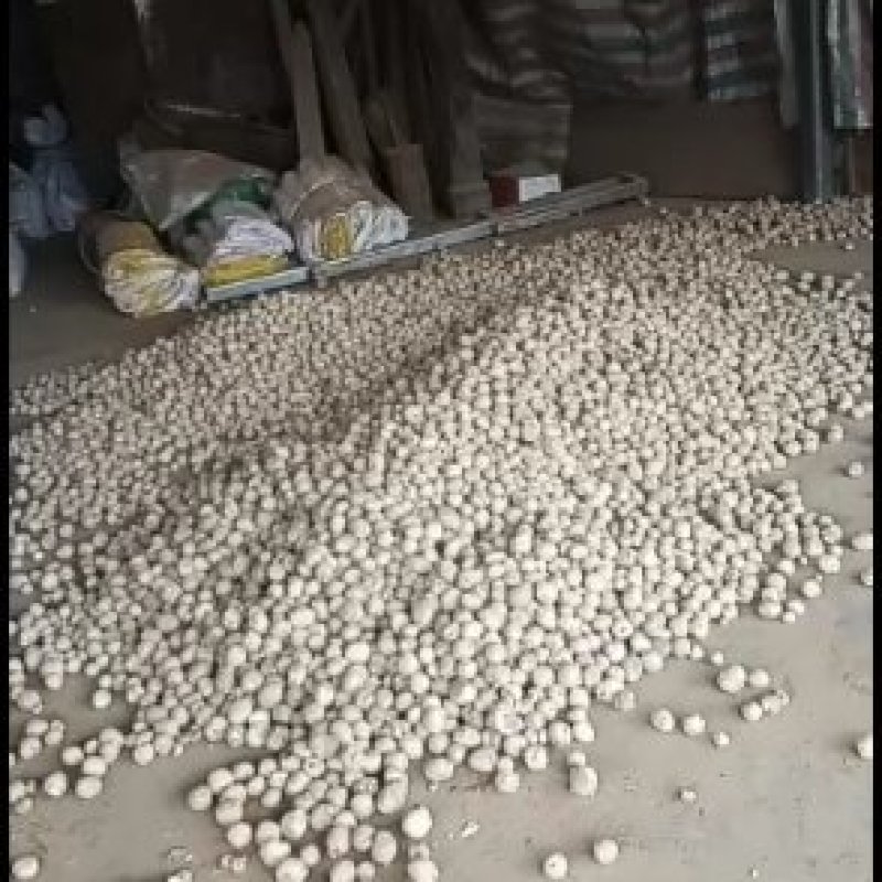 彭州市慧康农业有限公司长期经营川芎，三七，泽泻