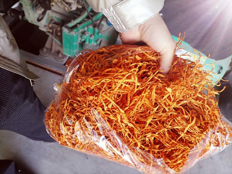 干鲜虫草花