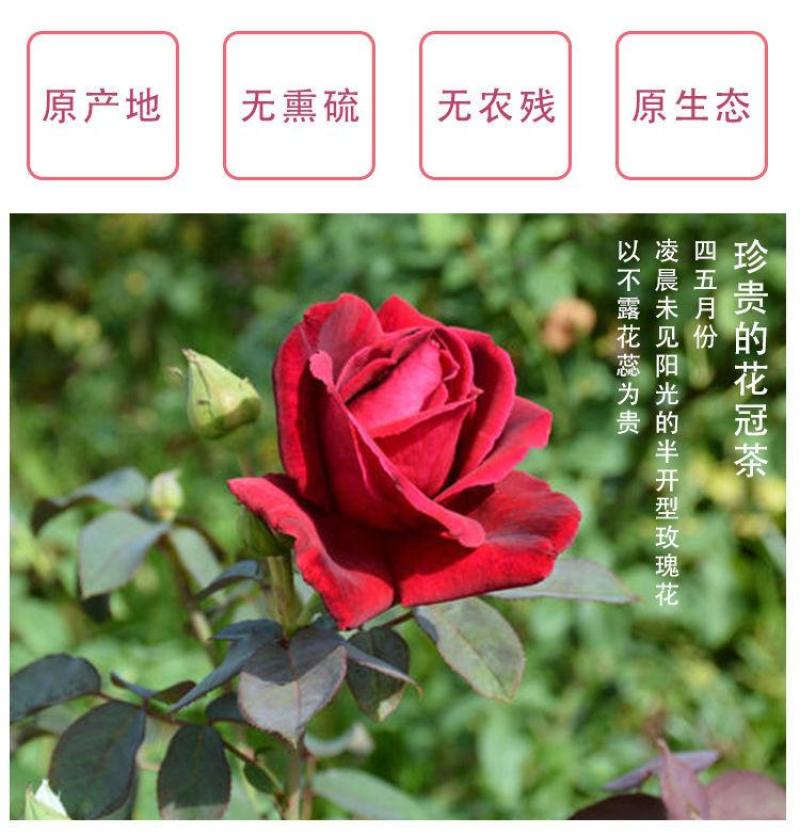 墨红玫瑰花茶烤干大朵玫瑰花冠玫瑰园基地直发