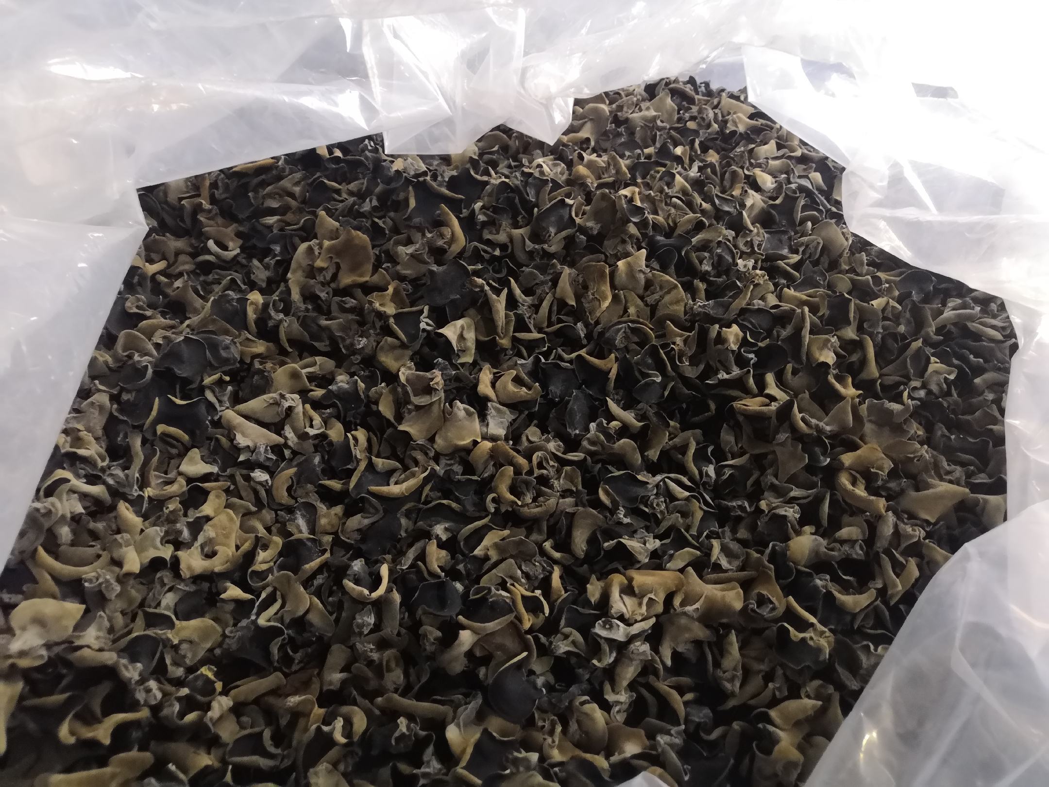 一碗热腾腾的银耳黑木耳羹,配以红枣和莲子,展现其滋补效果 银耳黑木耳羹成品图