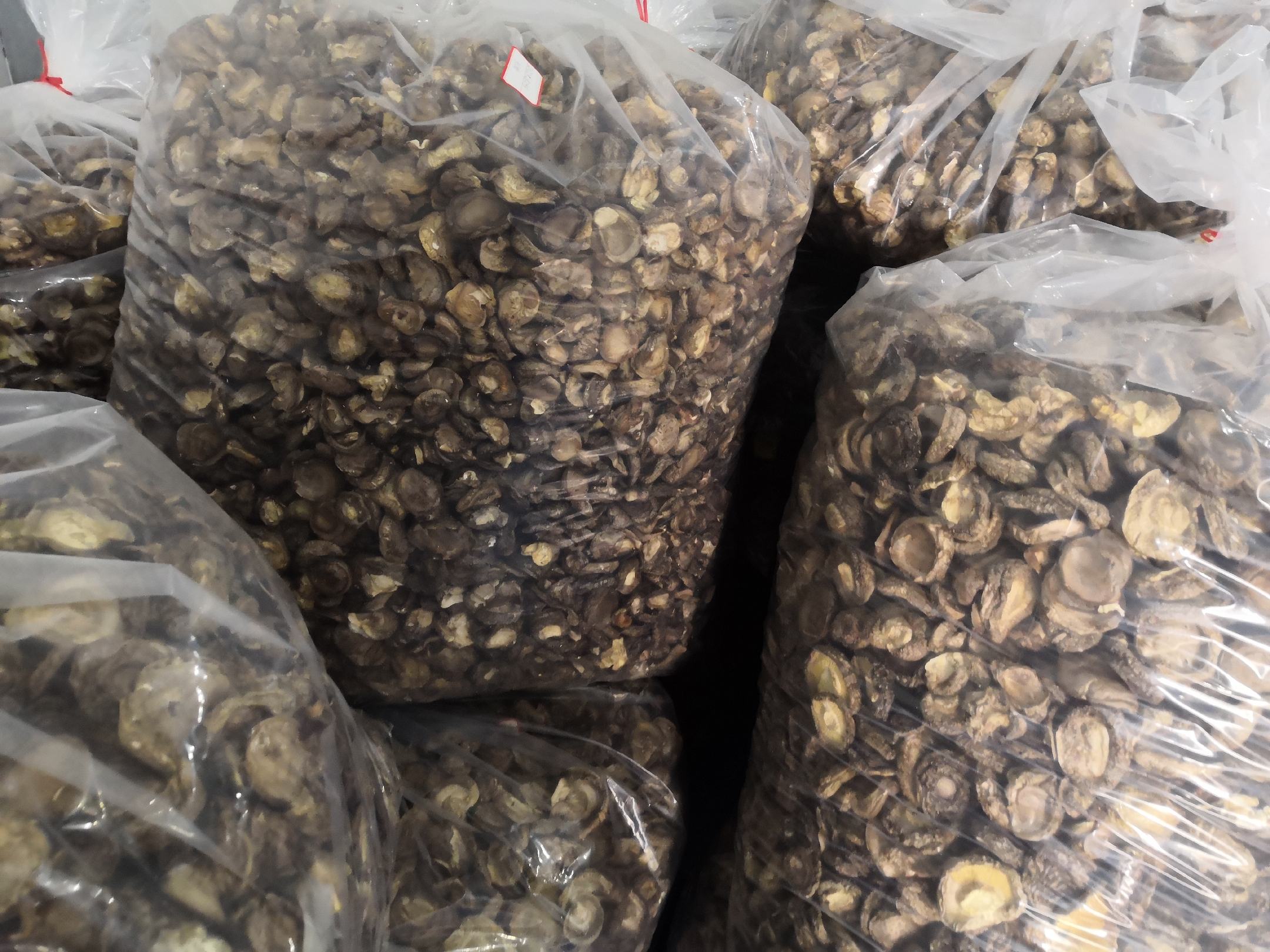 木耳丝成品展示