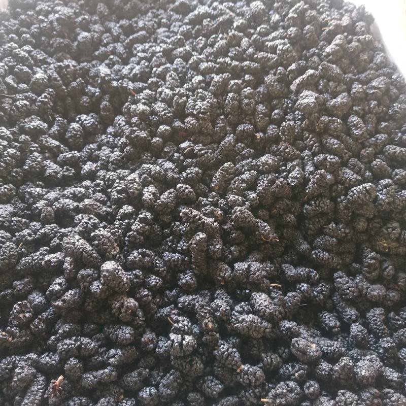 桑葚干大粒干果货500克泡水桑葚干货桑葚