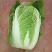 【精品】山东兰陵菊锦黄心大白菜开始上市，物美价廉！