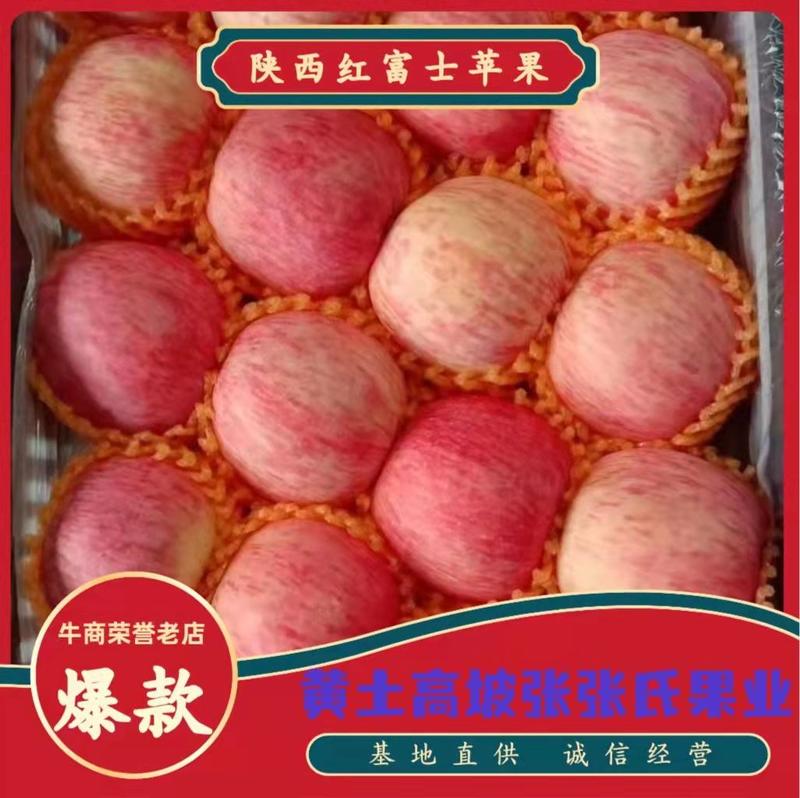 精品陕西洛川黄陵县原产地水晶红富士，脆甜可口一条龙服务