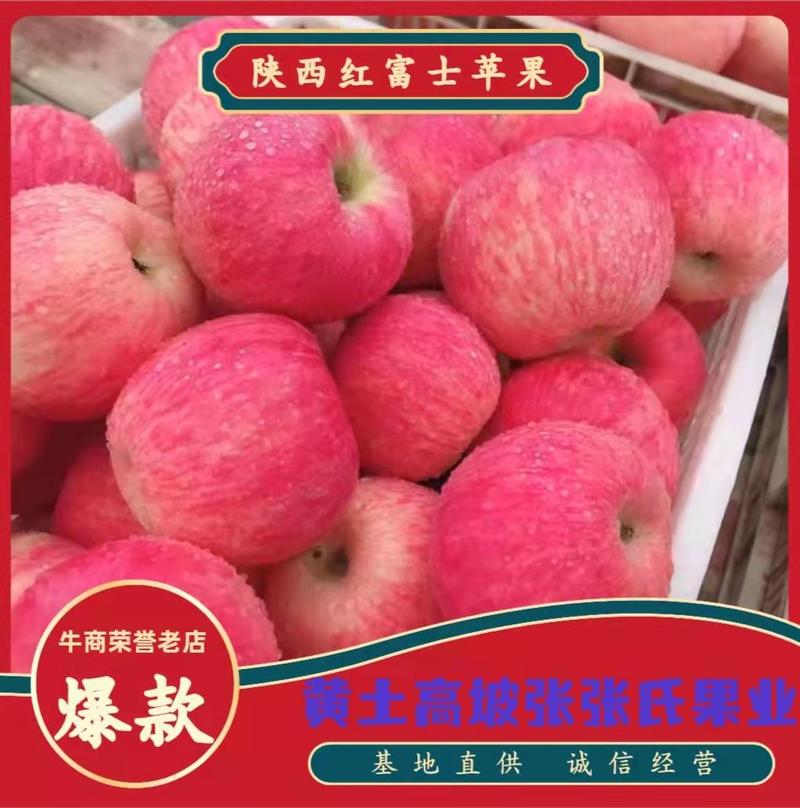 精品陕西洛川黄陵县原产地水晶红富士，脆甜可口一条龙服务
