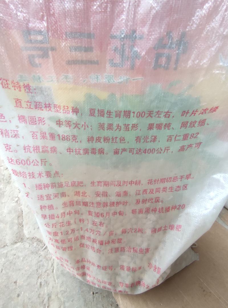 怡花三号花生种子，抗病高产，亩产1000斤