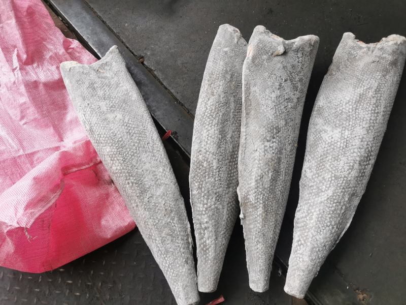 龙鳕鱼油甘鱼规格齐全量大询价一手源头