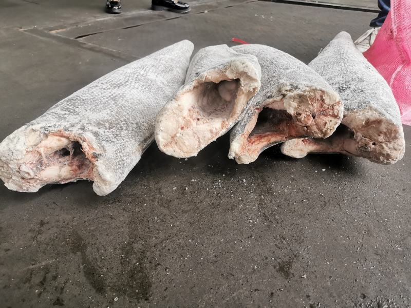龙鳕鱼油甘鱼规格齐全量大询价一手源头