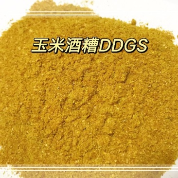 烘干玉米蛋白饲料(DDGS)量大从优，指标稳定