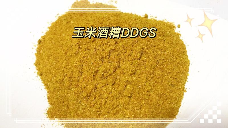 烘干玉米蛋白饲料(DDGS)量大从优，指标稳定