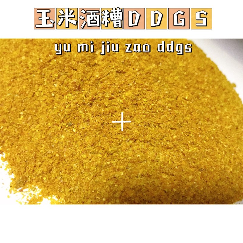 烘干玉米蛋白饲料(DDGS)量大从优，指标稳定