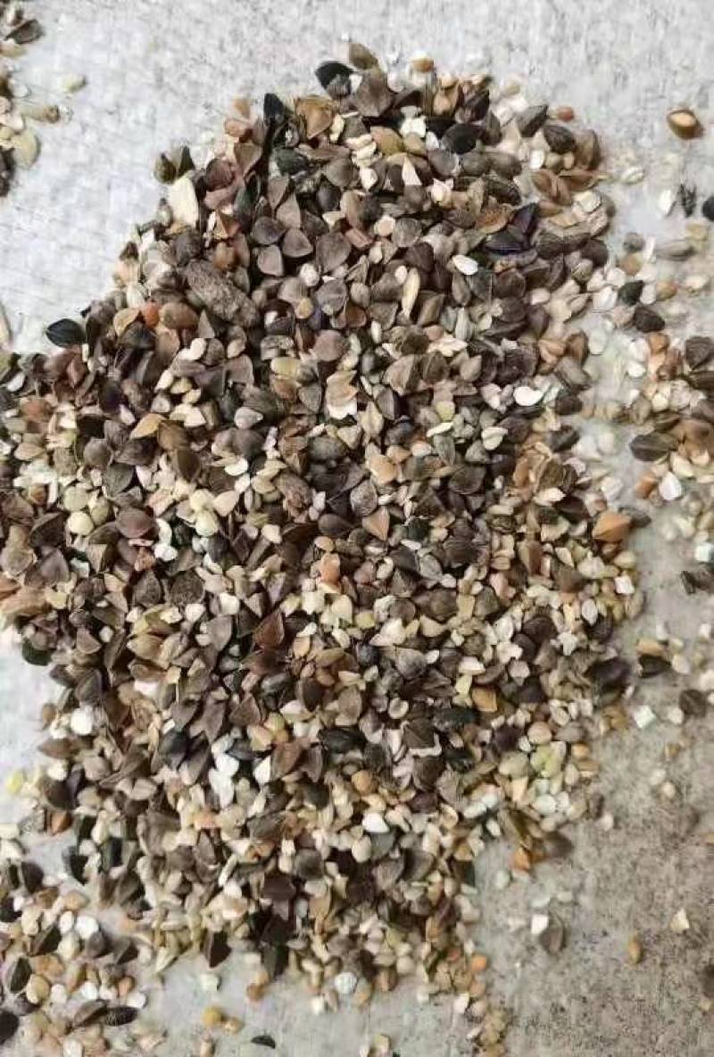 荞麦碎，水分11，蛋白18到20，灰分1。
