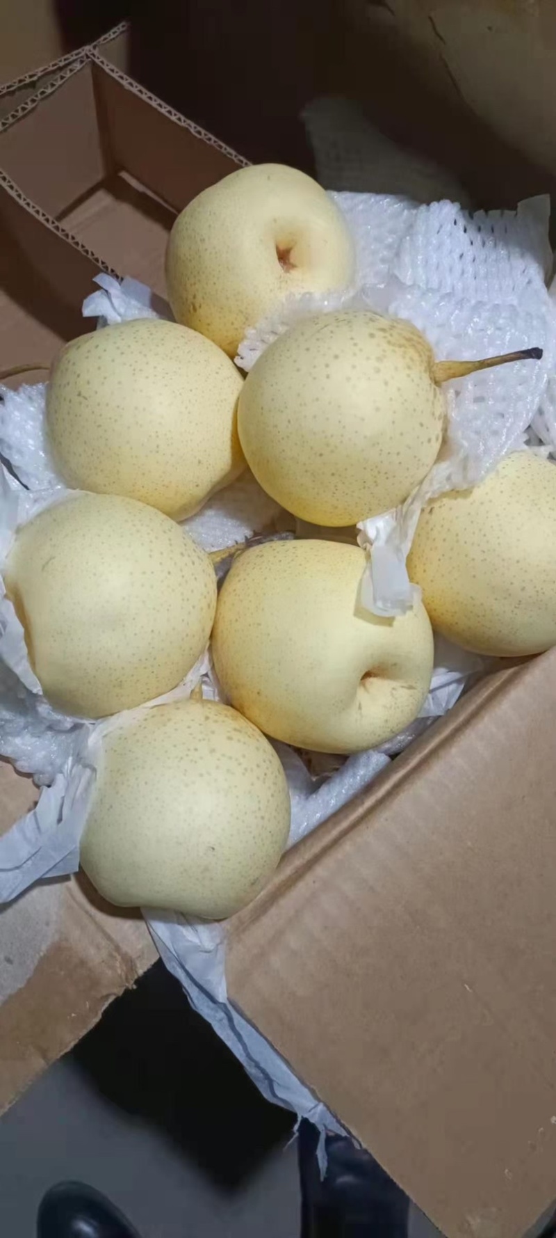 【精选】水晶鸭梨，新鲜大量上市中出口质量市场个人