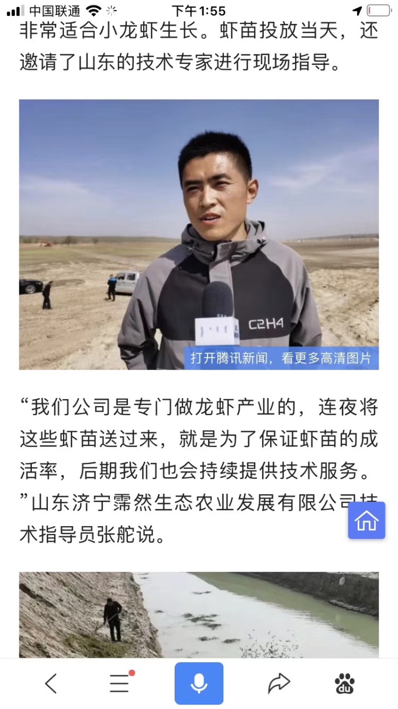山东省微山湖小龙虾苗种虾