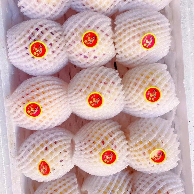 云南新货上市人参果包圆果熟果一件也发欢迎电商社区团购加盟