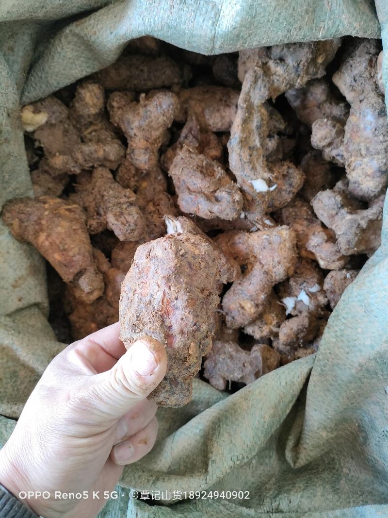 肇庆土茯苓(粉质本地货，不变色，长期有货)