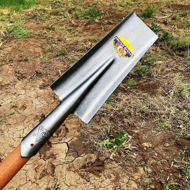 挖山药专用锹全钢加厚农用挖沟尖头平头窄口铲子户外园艺工具