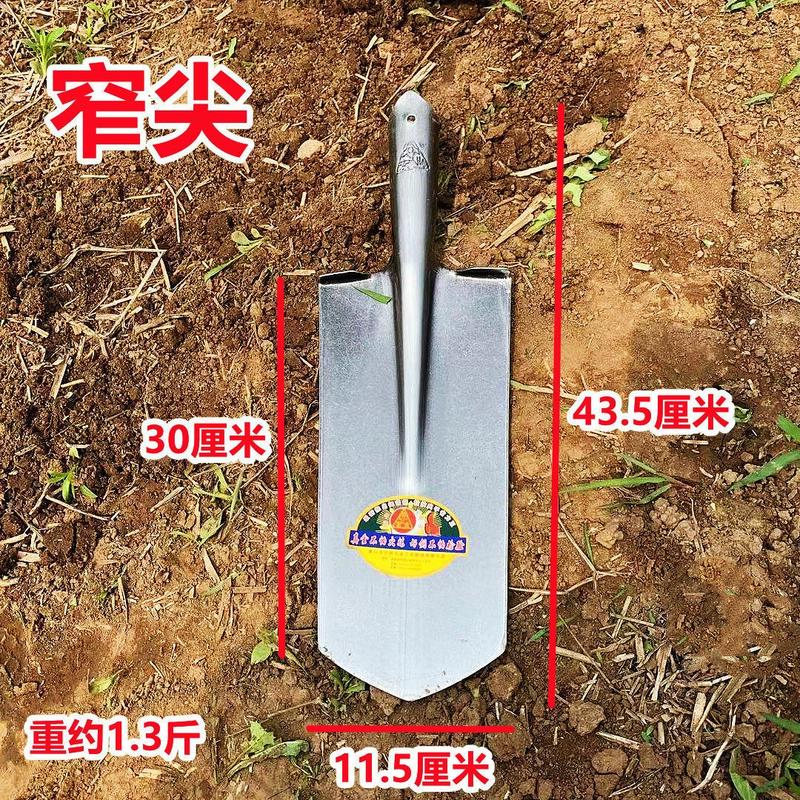 挖山药专用锹全钢加厚农用挖沟尖头平头窄口铲子户外园艺工具