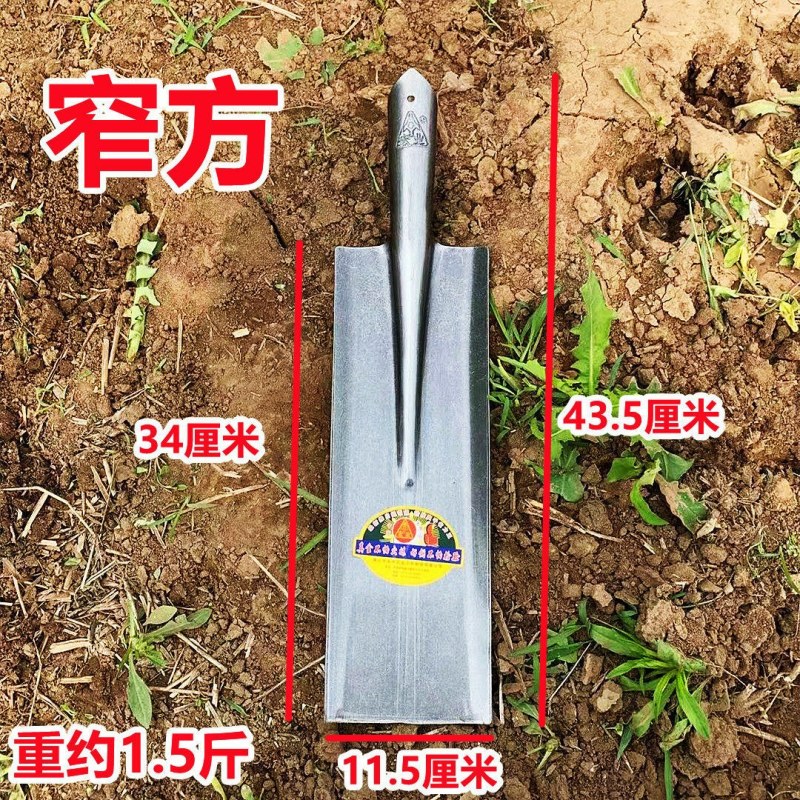 挖山药专用锹全钢加厚农用挖沟尖头平头窄口铲子户外园艺工具