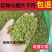 新疆吐鲁番葡萄干小珍珠小颗粒便宜可以奶茶过吸管电商专用