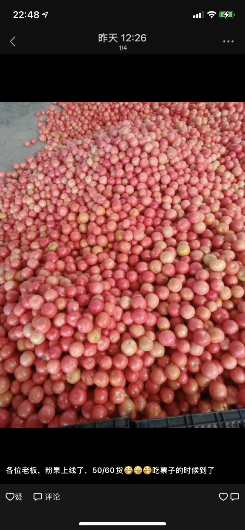 米易硬粉番茄（小果），米易硬粉西红柿（小果），量大从优。