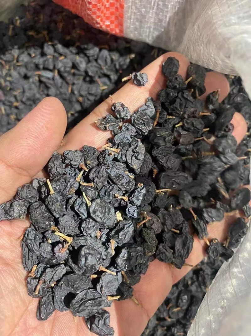 黑加仑进口新疆葡萄干大颗粒新疆特产直销便宜批发电商专用