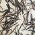 花鳗鱼苗优质日本鱼苗生长速度快量大从优淡水养殖