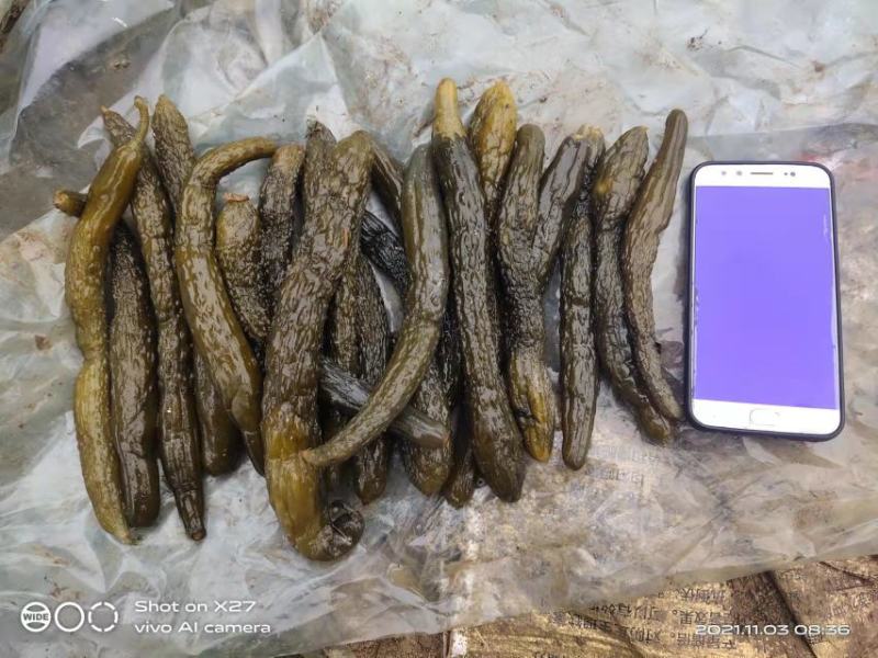 半成品黄瓜，大瓜，小黄瓜瓜条比较均匀无杂质，水分小