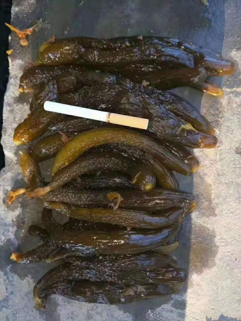 半成品黄瓜，大瓜，小黄瓜瓜条比较均匀无杂质，水分小