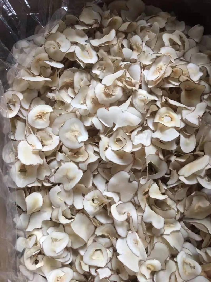 泰国海底椰片，味道清香，无硫，无添加，量大价优