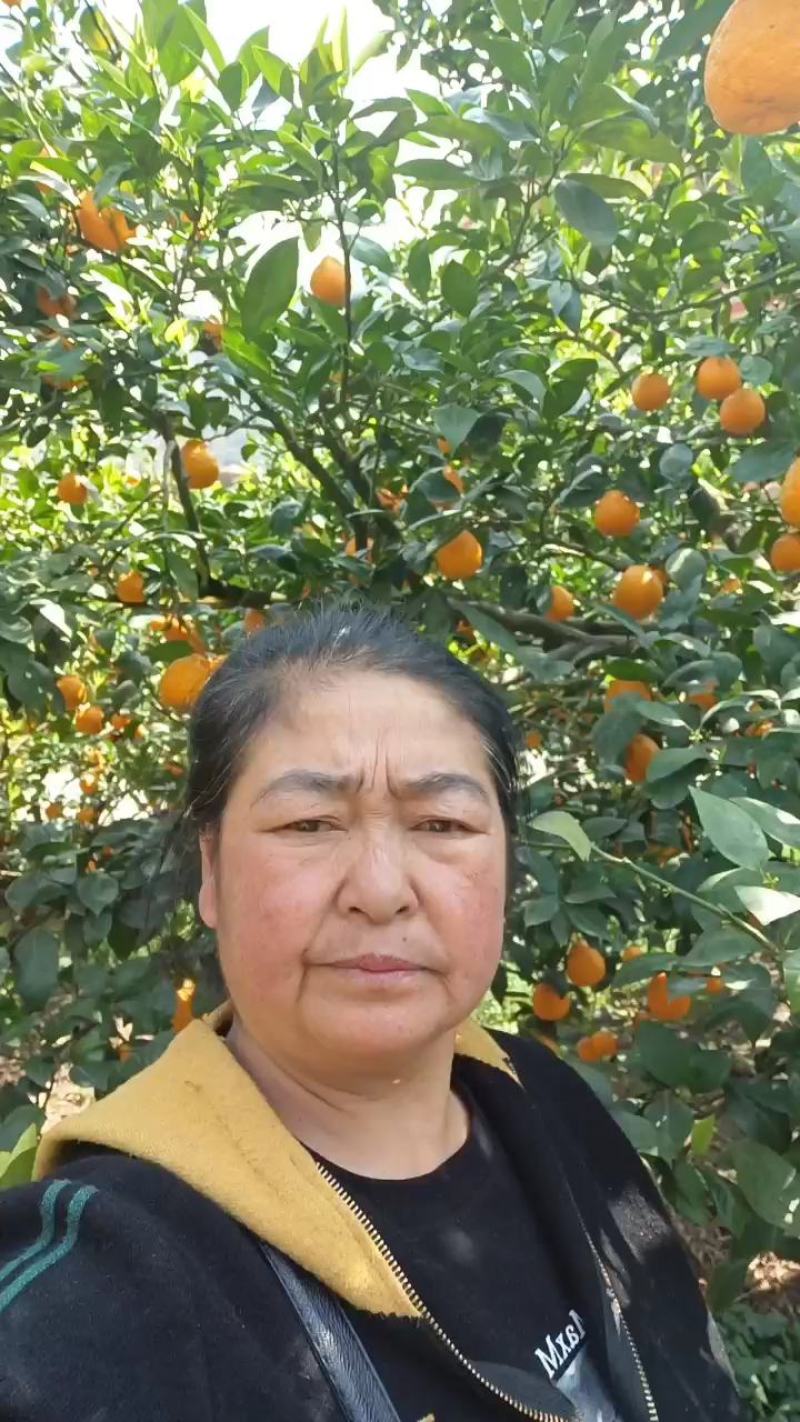 汉源县黄果柑