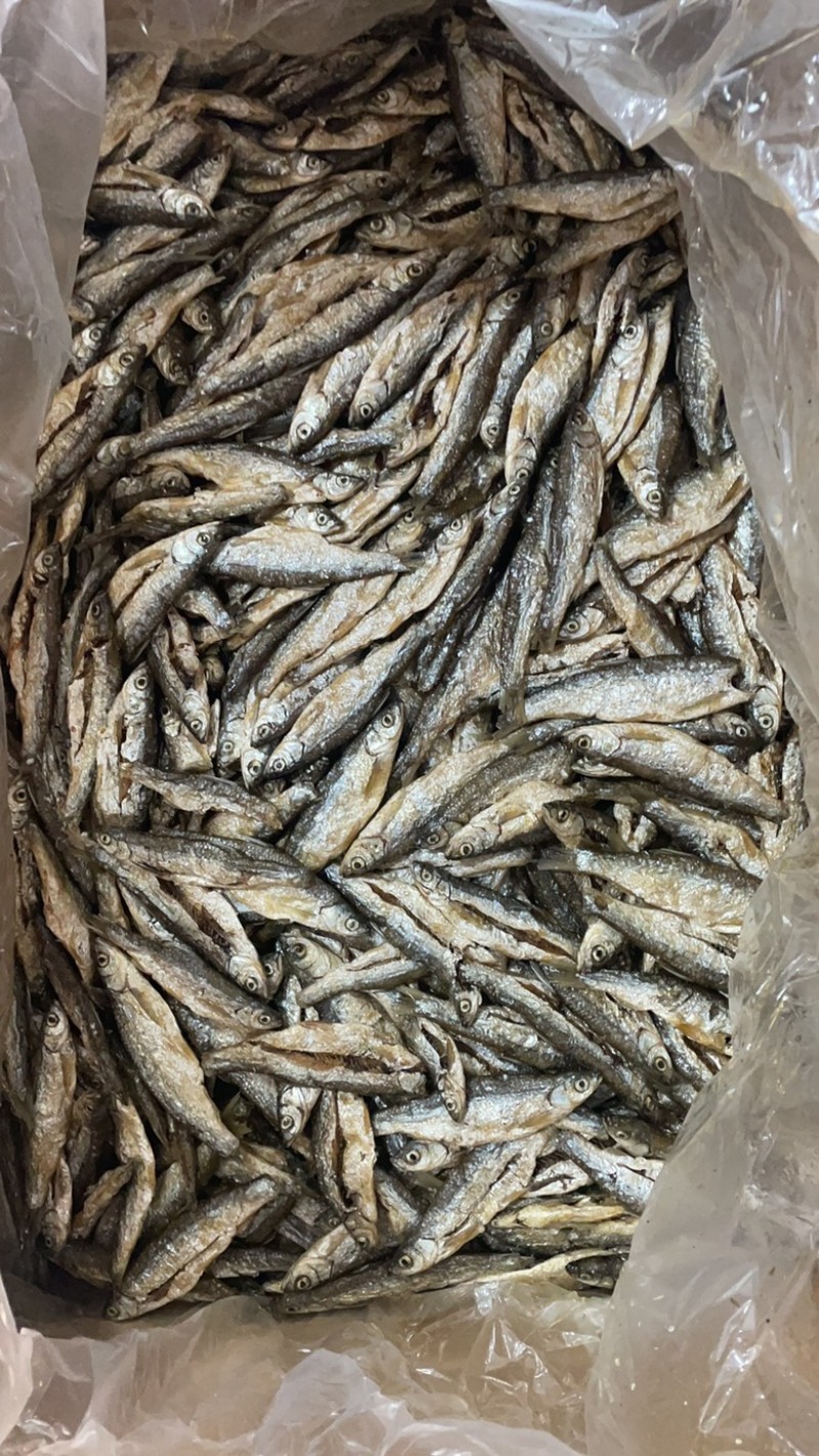 油炸鱼蓝刀鱼干小白条小鱼干无盐鱼干