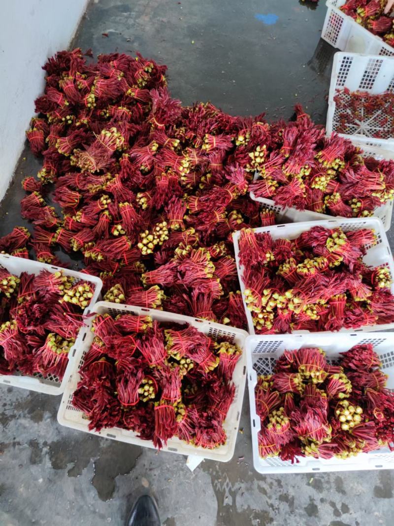 香椿芽产地一手货源全国发货量大价优欢迎随时联系