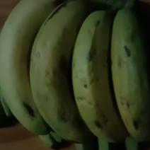 农家自种的土香蕉自然熟，新鲜带箱10斤一件包邮。