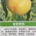 桃树苗