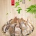 湖南脱水笋干笋尖农家自制