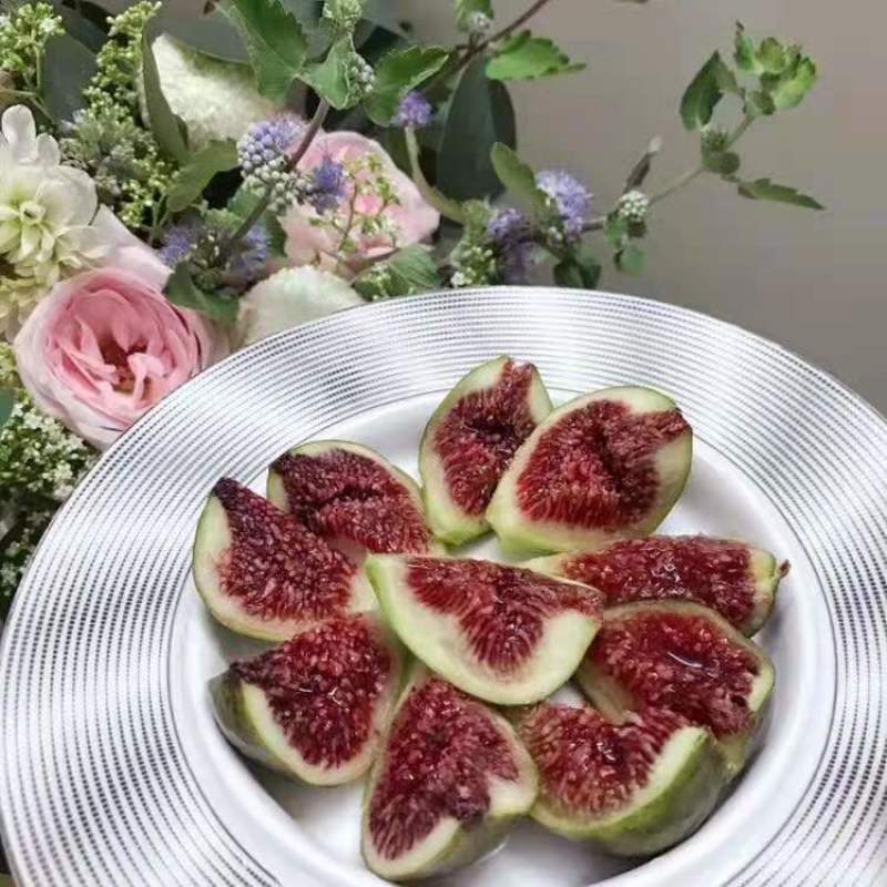 无花果苗/格莱斯海宁/培育苗南北方/水蜜桃味/盆栽果树