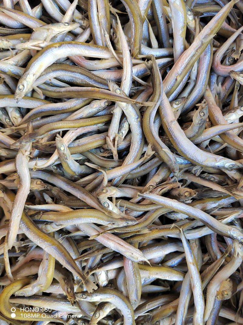 深海银针鱼，味道鲜美不咸，价格低廉，欢迎惠顾
