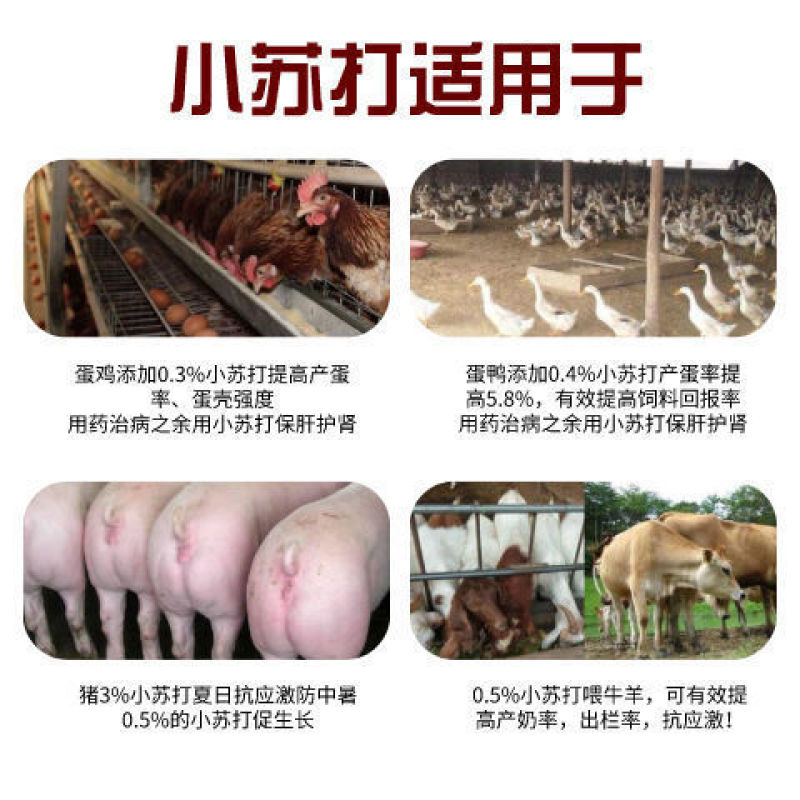 饲料小苏打