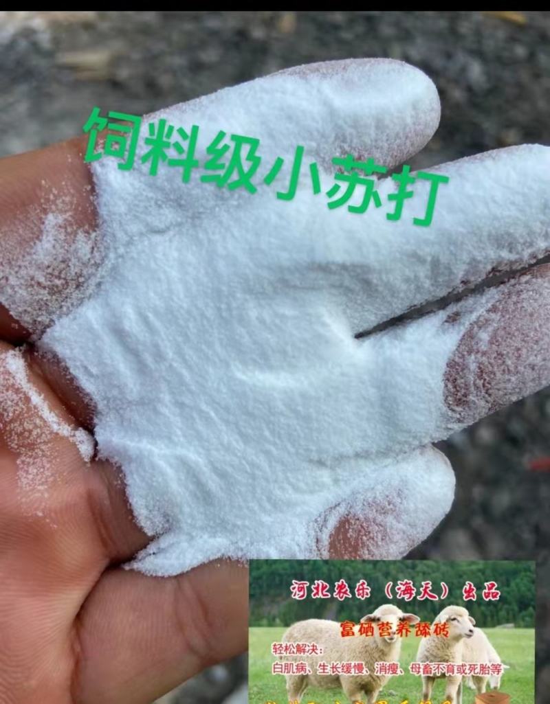 饲料小苏打