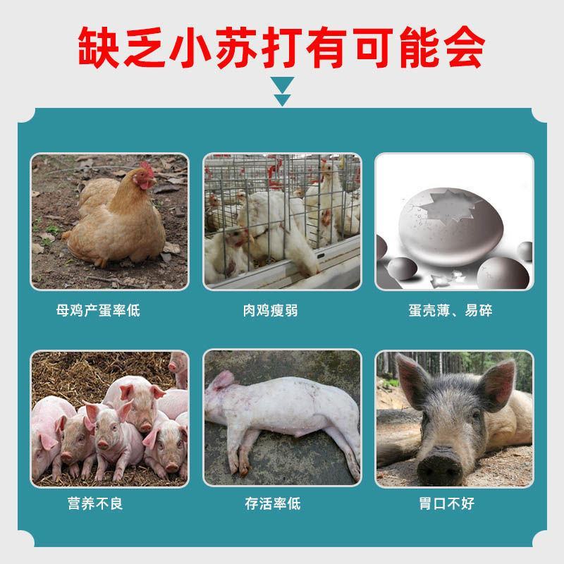 饲料小苏打
