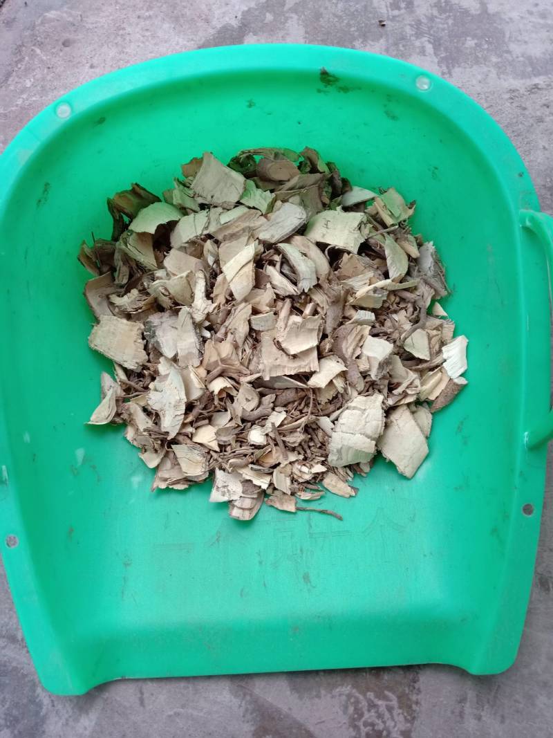 中药材，山栀根片，晒干片，可支持视频看货包邮。