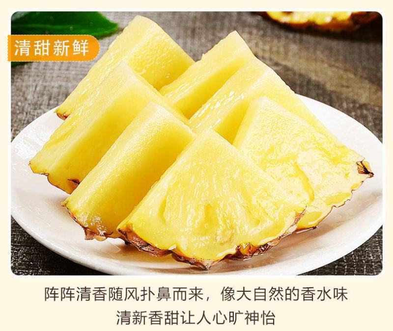 海南金钻凤梨菠萝香水台农16号凤梨当季新鲜水果大果10斤