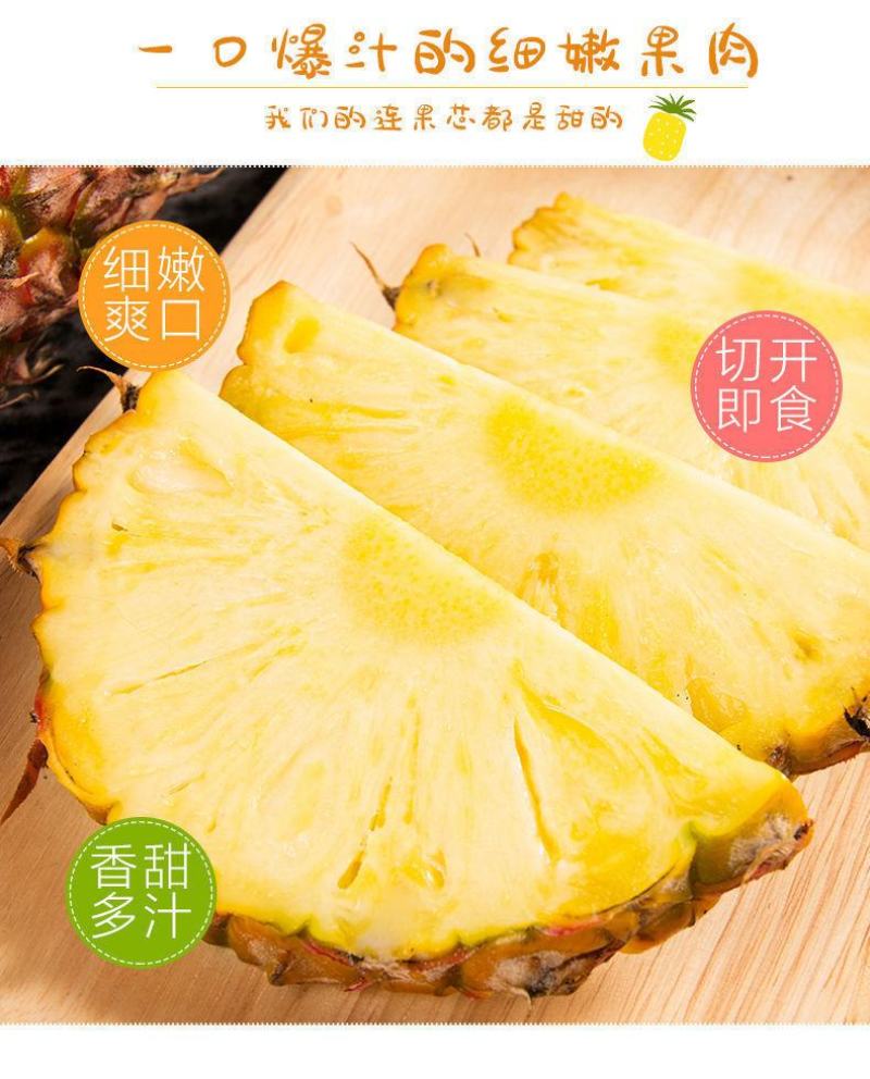 海南金钻凤梨菠萝香水台农16号凤梨当季新鲜水果大果10斤