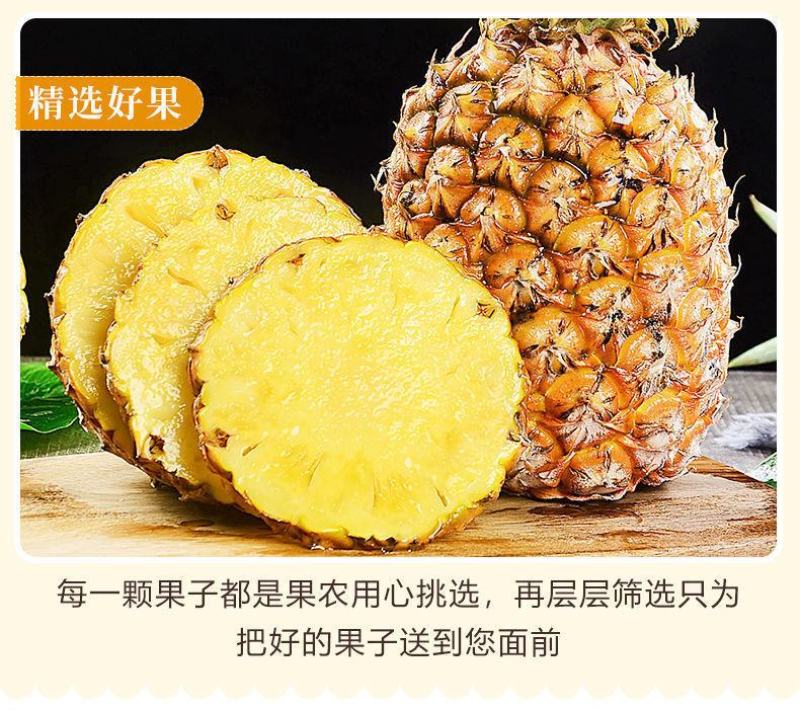 海南金钻凤梨菠萝香水台农16号凤梨当季新鲜水果大果10斤